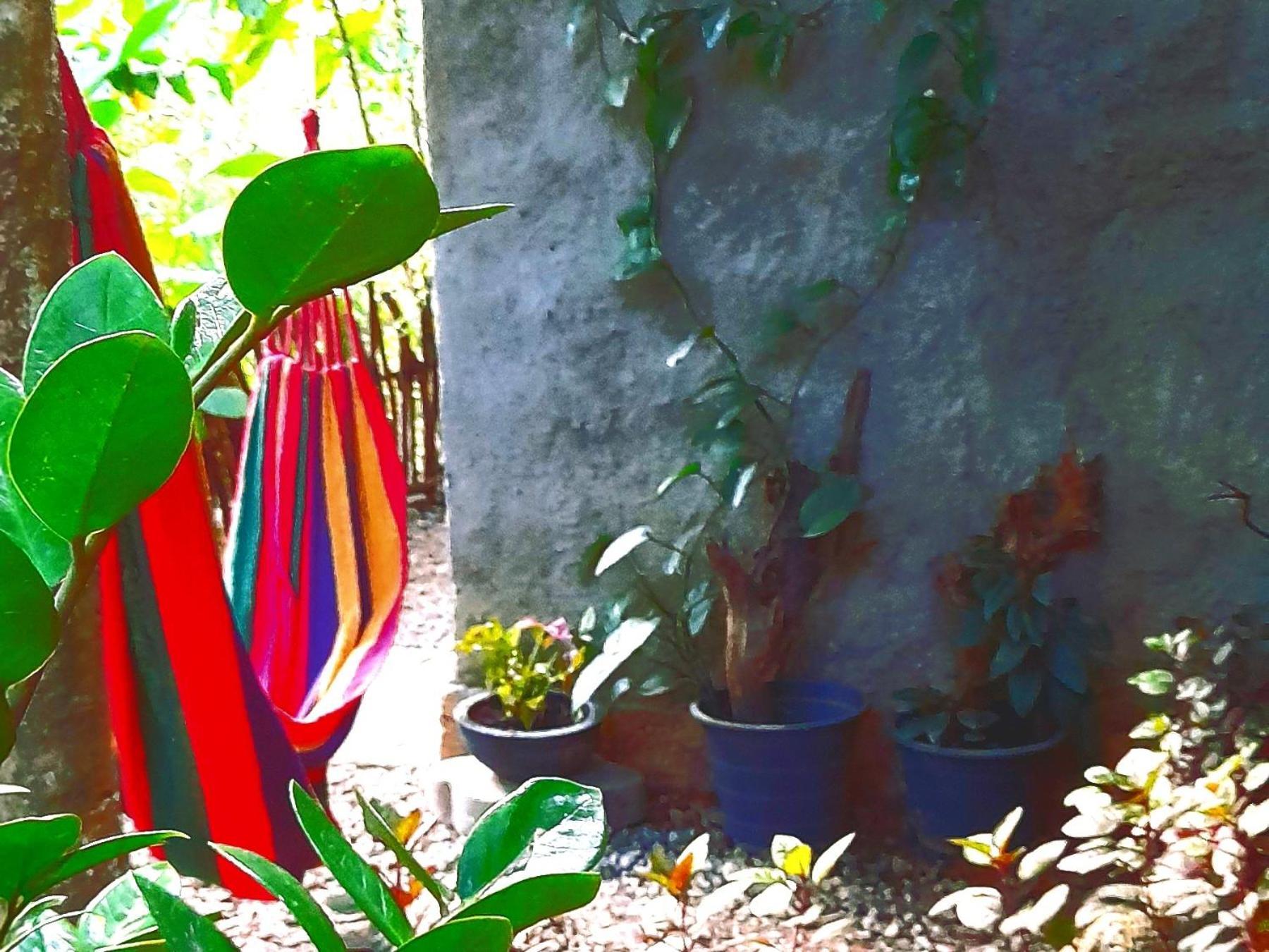 Linu Homestay Dickwella Exterior foto